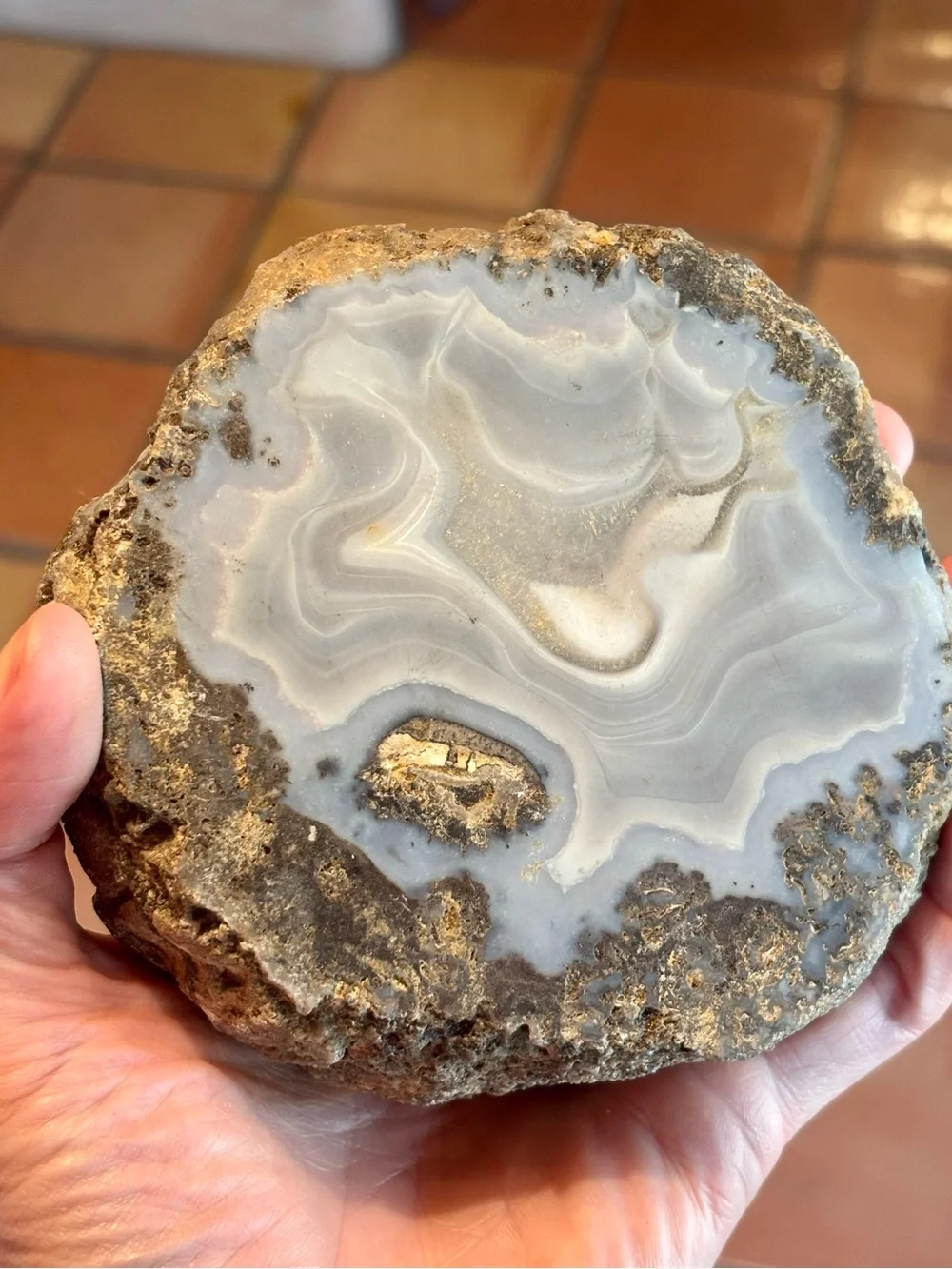Natural Banded Agate Slab – Polished Display Specimen with Raw Edge 700g